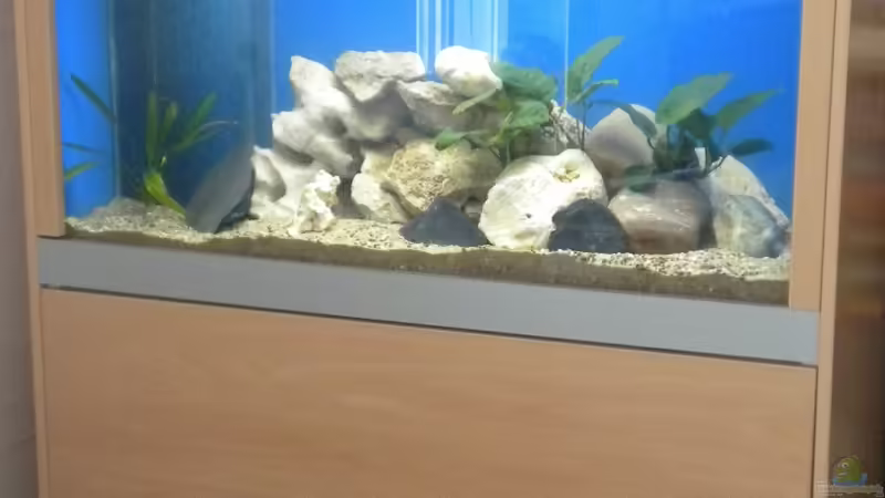 Schrank komplett alt von Bas-ti (3)