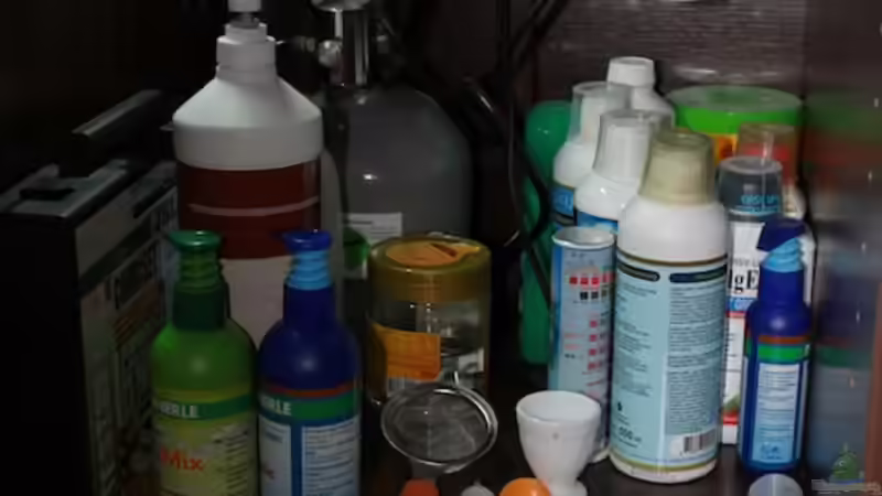 Schrank links: CO2 6kg mit Nachtabschaltung, Lichtsteuerung und allerlei Teufelszeug von diveman (15)