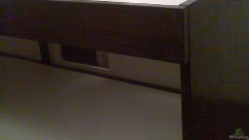 Schrank von vorne ohne Türen von Crenii (9)