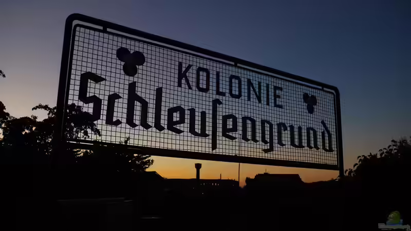 Schrebergarten: Spießig oder voll im Trend?