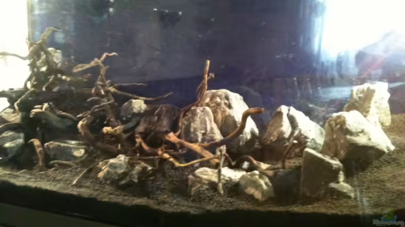 Schritt 1 von Sailfish (2)