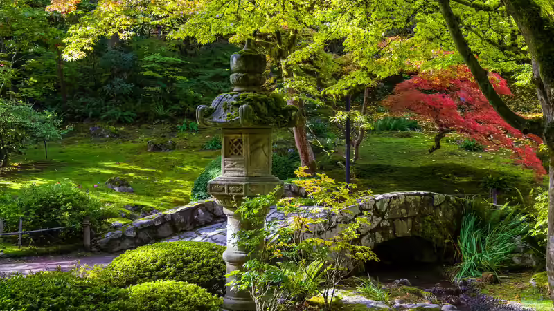 Schritt für Schritt den eigenen Garten zum Japanischen Garten umgestalten