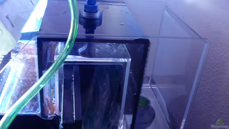 Schuran ??berlauf von .uschi (23)