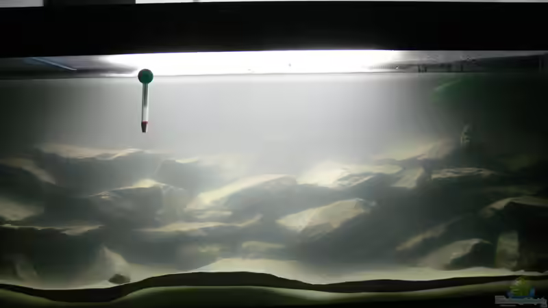 Schwarzer Quarzsand 15.01.2013 von DominikZ (27)