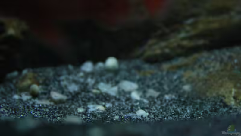 schwarzer Sand mit Kies gemischt von skipper1202 (17)