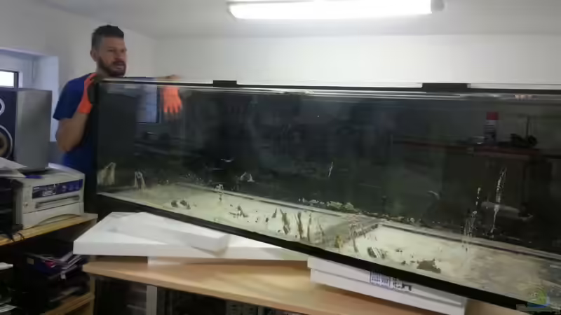 Schwer das Becken. Wir haben es mit Absetzen in drei Etappen zum Schreibtisch gefrachtet. von Beulenkopftyp (10)