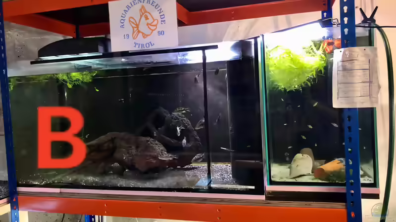 Schwerlastregale für Aquarien ???  diverse Regalsysteme im Aquarien-Keller