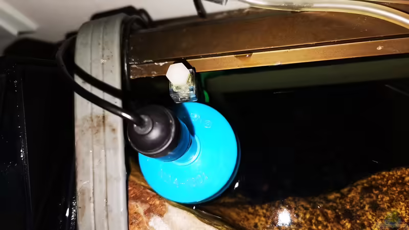 ´schwimmender´ Aufbau der pH-Sonde von Odonata (26)