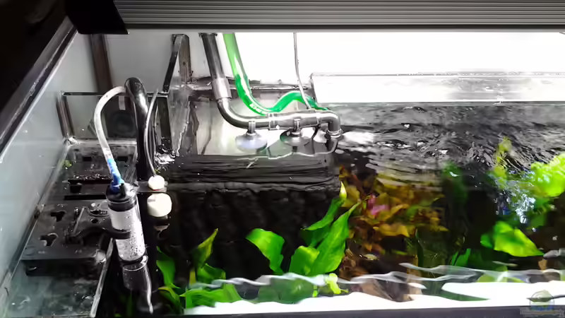 schwimmer und wassereinlauf von phrankdiddie (21)