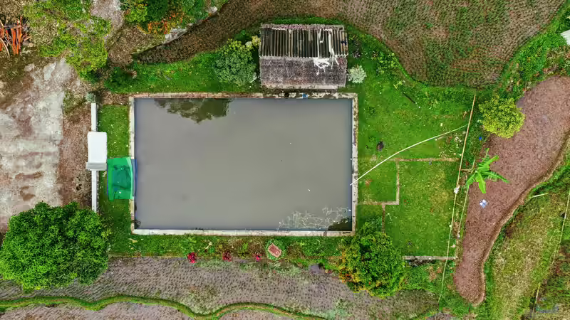 Schwimmteich startklar machen: Was vor dem ersten Bad wichtig ist