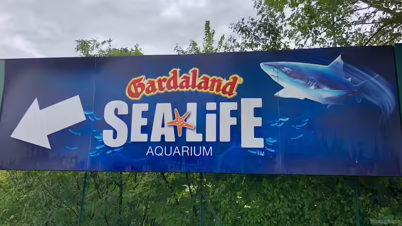 Sealife Aquarium am Gardasee in Italien