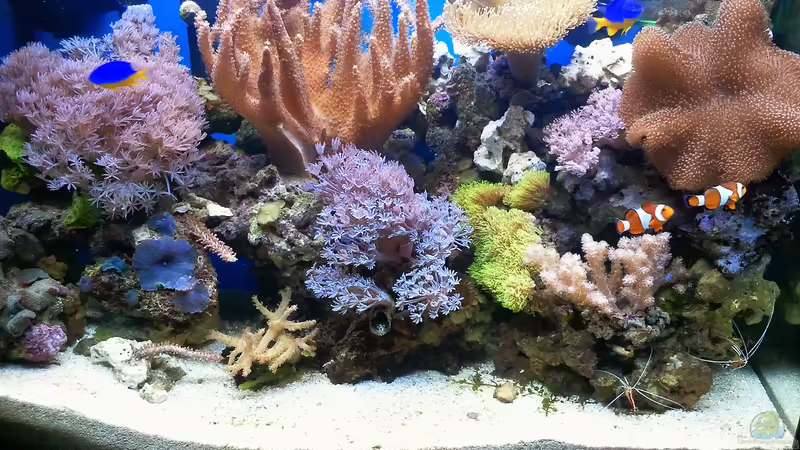 SeaWorld von Andreas Fleischer (1)