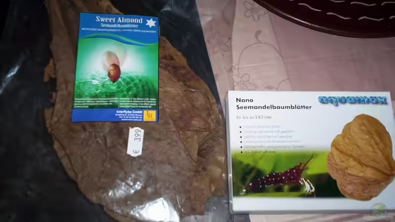 Seemandelbaumblätter von Didi (31)