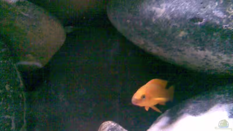 sein neues revier von Michael Geigel (28)