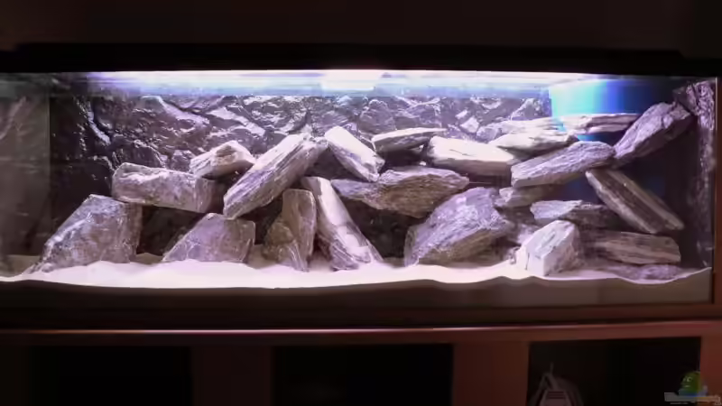 Seinaufbau Ansicht Gesamt mit Beleuchtung von Peter Giesbrecht (12)