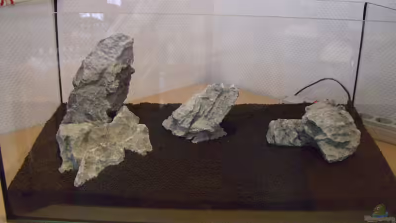 Seiryu Steine von marspi (8)