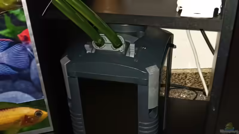 seit April 2024 im Einsatz. von odin 68 (106)