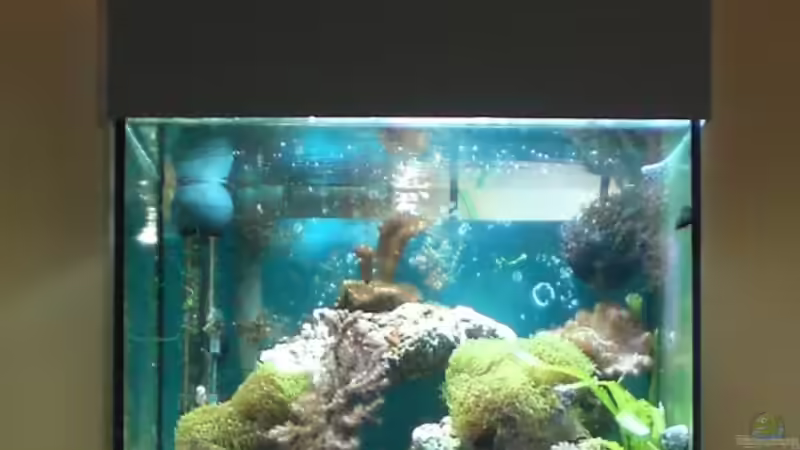 Seit dem Wochenende mit Abdeckung von Maverick0815 (5)