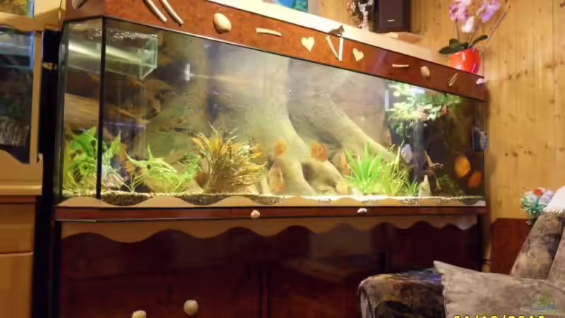 Seit Okt. 2010        940 Liter von Ulrich Sauerhering (82)