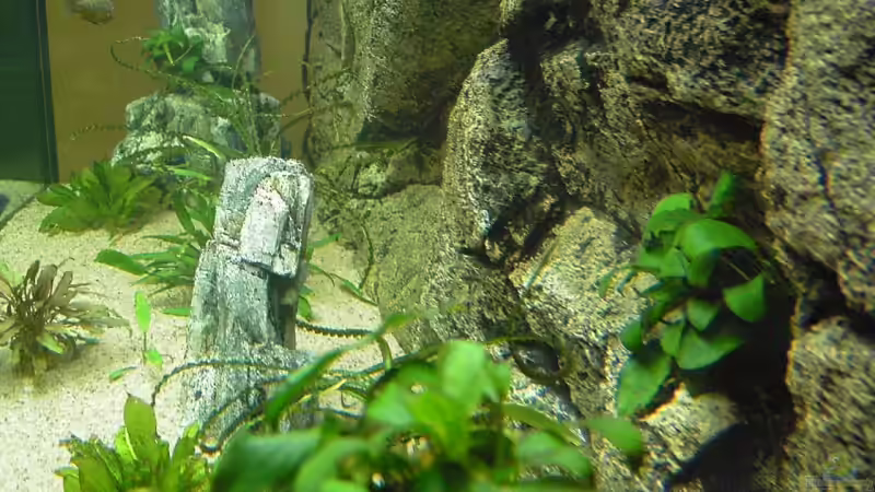 Seitansicht von Alexander Uschkoreit (9)