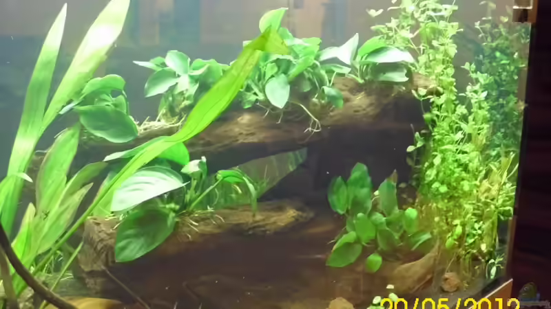 Seite 1 Rechts von Günther Kröger (12)