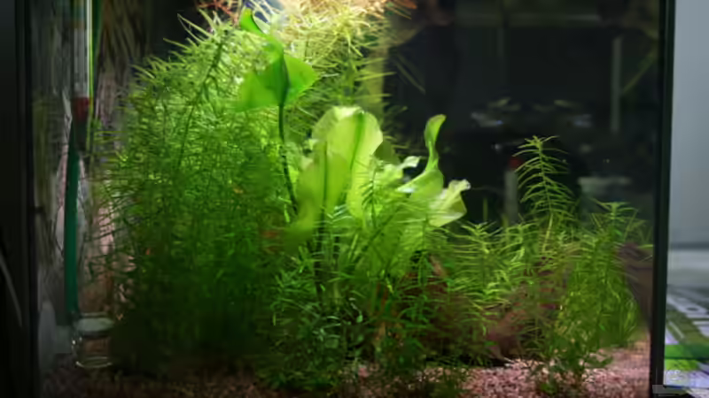 Seite aktuell von bull70 (2)