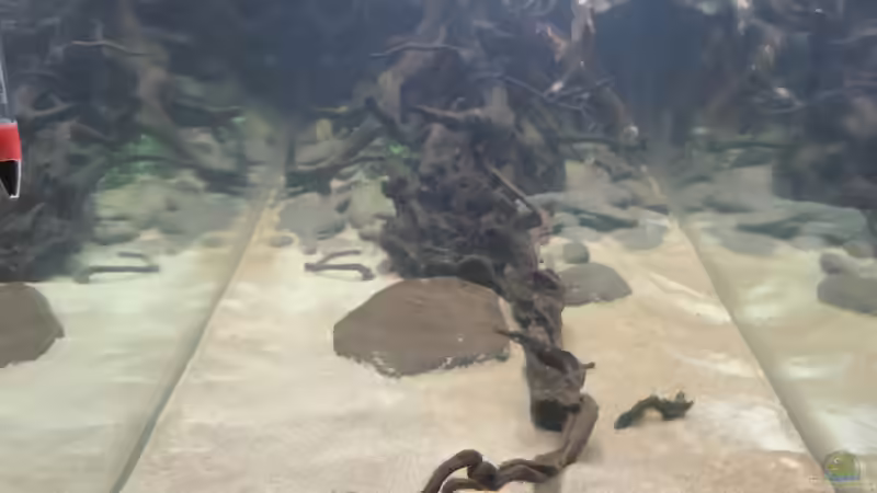 Seite Dezember2020 von BlueWave (3)