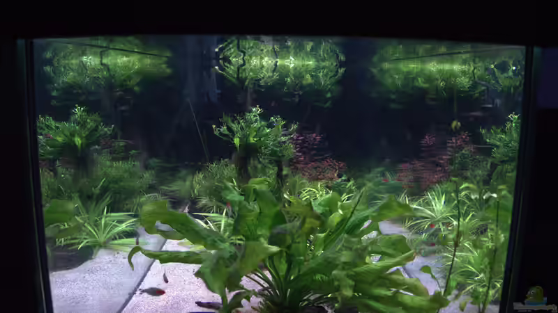 Seite Dezember2021 von BlueWave (7)