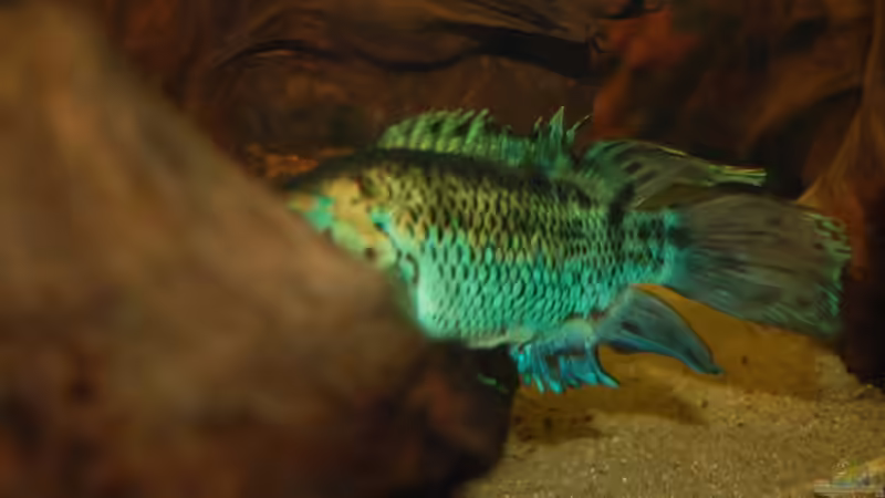 Seite erwischt 7/11 von ml69 (27)