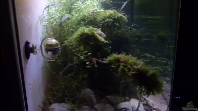 Seite links 17.03.2014 von Martin W. (6)