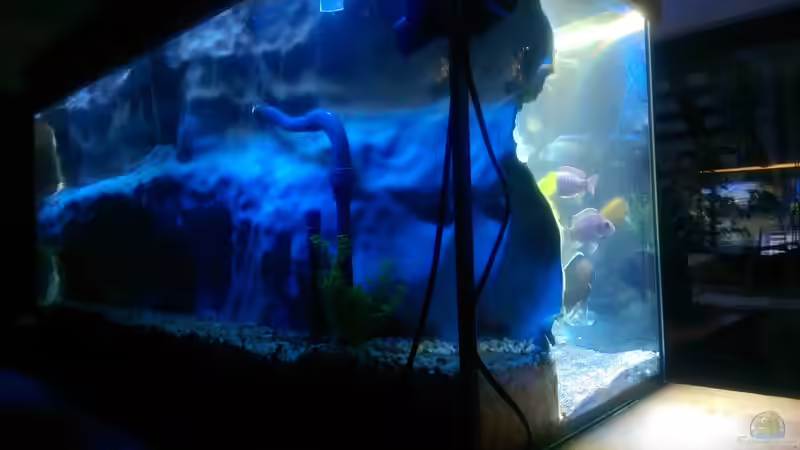 Seite links von hinten von *Malawi* (6)