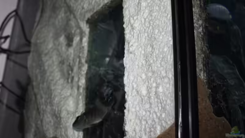 Seite links von JörgsMalawis (32)