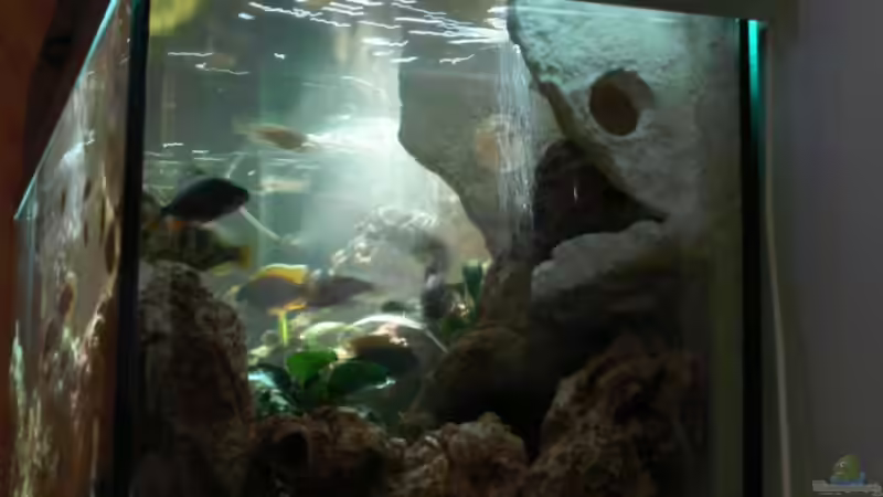 Seite mit endlich fertig gebrachter Rückwand von Christian Klar (6)