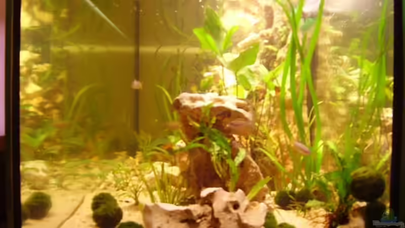 Seite r. 06.06.08 von Peters Laden (11)