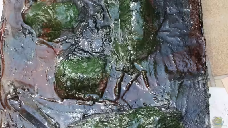 Seite rechts fertig von JörgsMalawis (31)