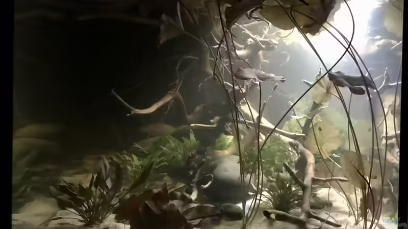 Seite von der Couch von NaMo (20)