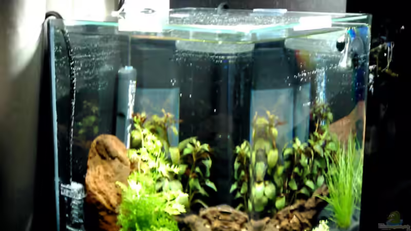 Seite von Emmemm (2)