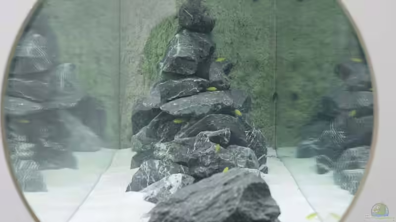 Seite von Ralf Bauer (2)