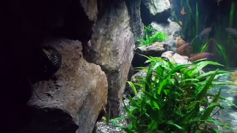 Seite1 von Baeltes (5)