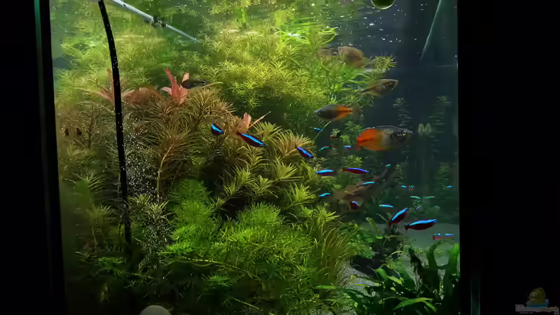 Seiten Ansicht 16.02.15 von &lt;--- sebi ---&gt; (7)