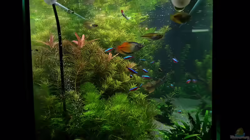 Seiten Ansicht 16.02.15 von &lt;--- sebi ---&gt; (8)