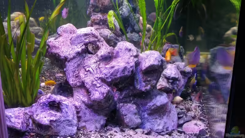 Seiten ansicht 2 von Irzzz (9)