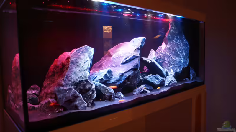 Seiten Ansicht mit Morgen Rot Links von Mondamin (15)