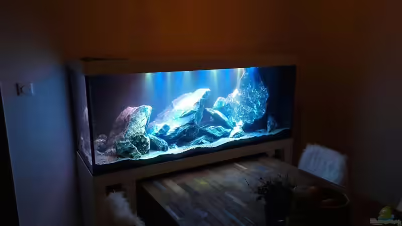 Seiten Ansicht von Links von Mondamin (6)