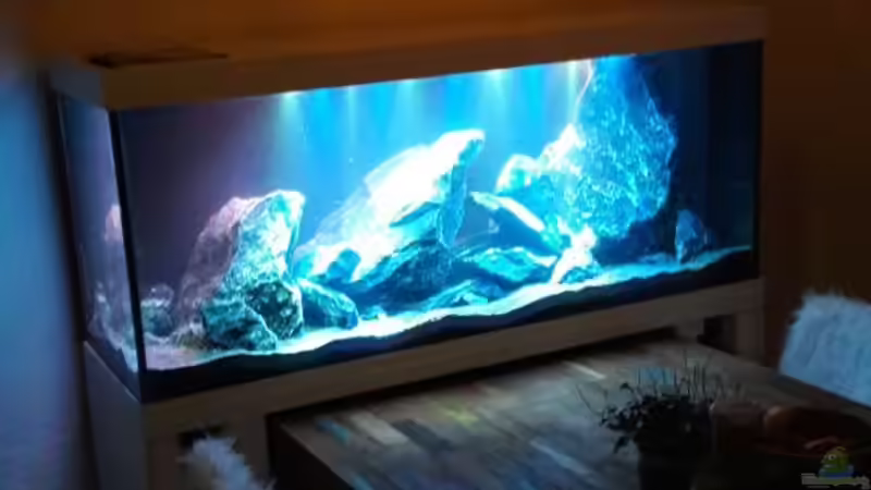 Seiten Ansicht von Mondamin (8)