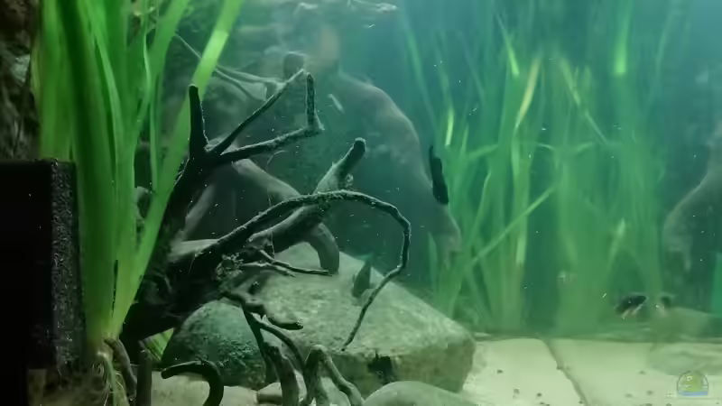 Seitenansicht - 17.10.2019 von - Stephen - (8)