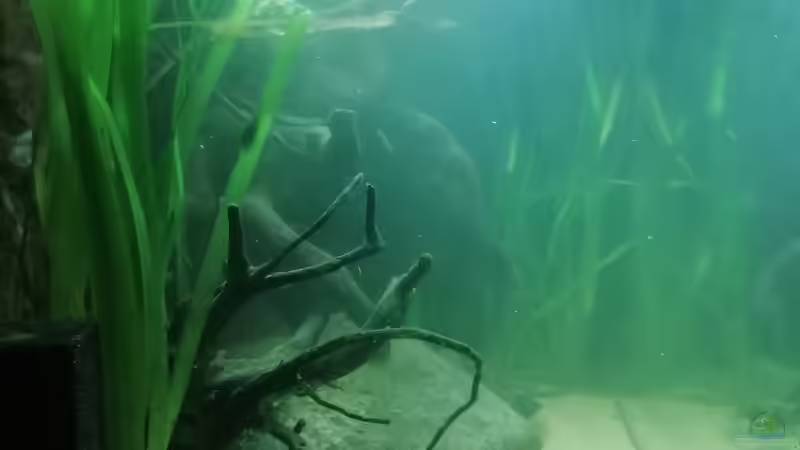 Seitenansicht - fertiges Layout von - Stephen - (12)