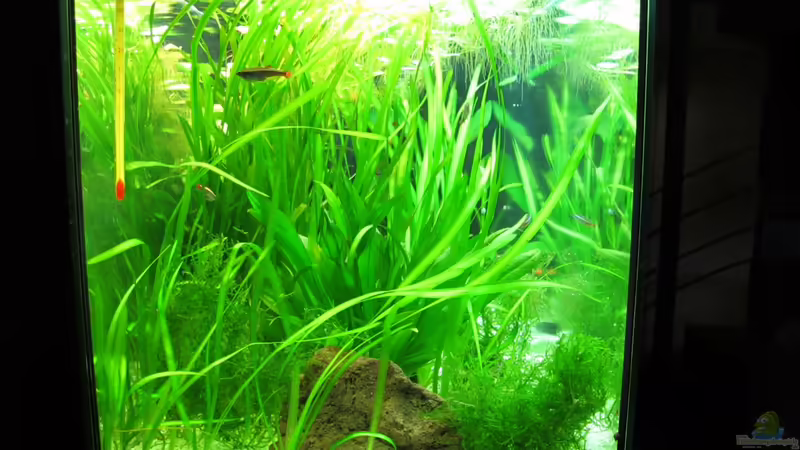 Seitenansicht - links von Stefan Peter (3)