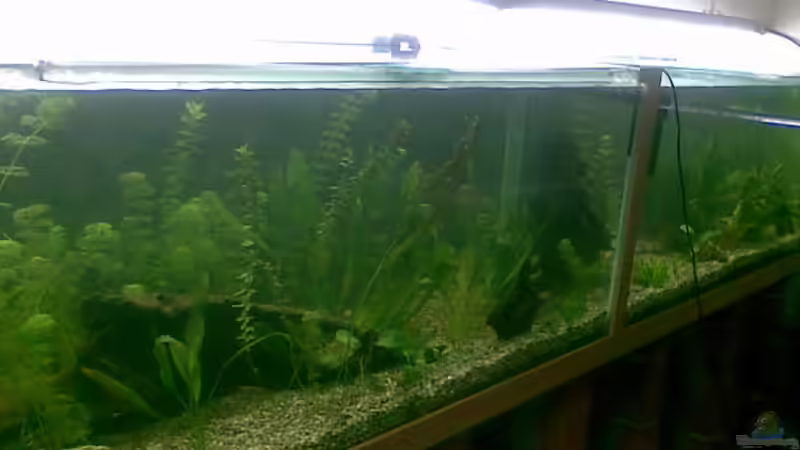 seitenansicht ! von Bastian Linsenmeier (12)