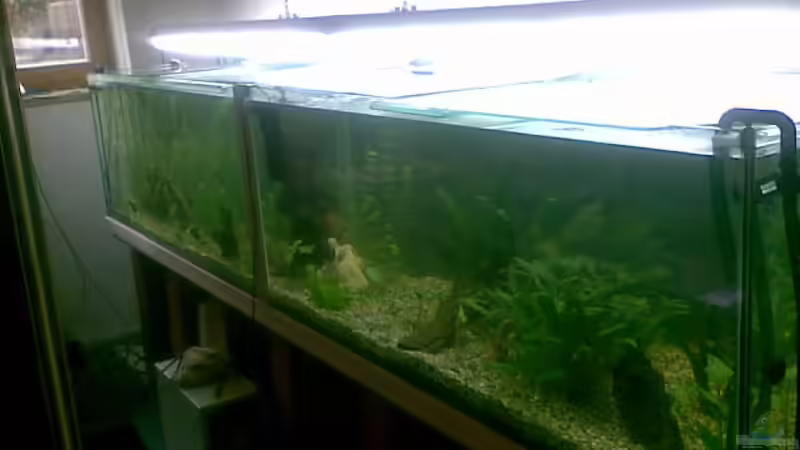 seitenansicht ! von Bastian Linsenmeier (13)